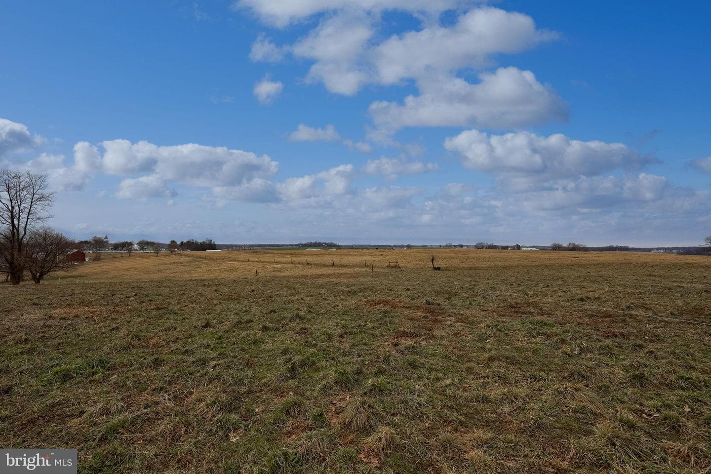 1019 Spring Valley Road photo 29