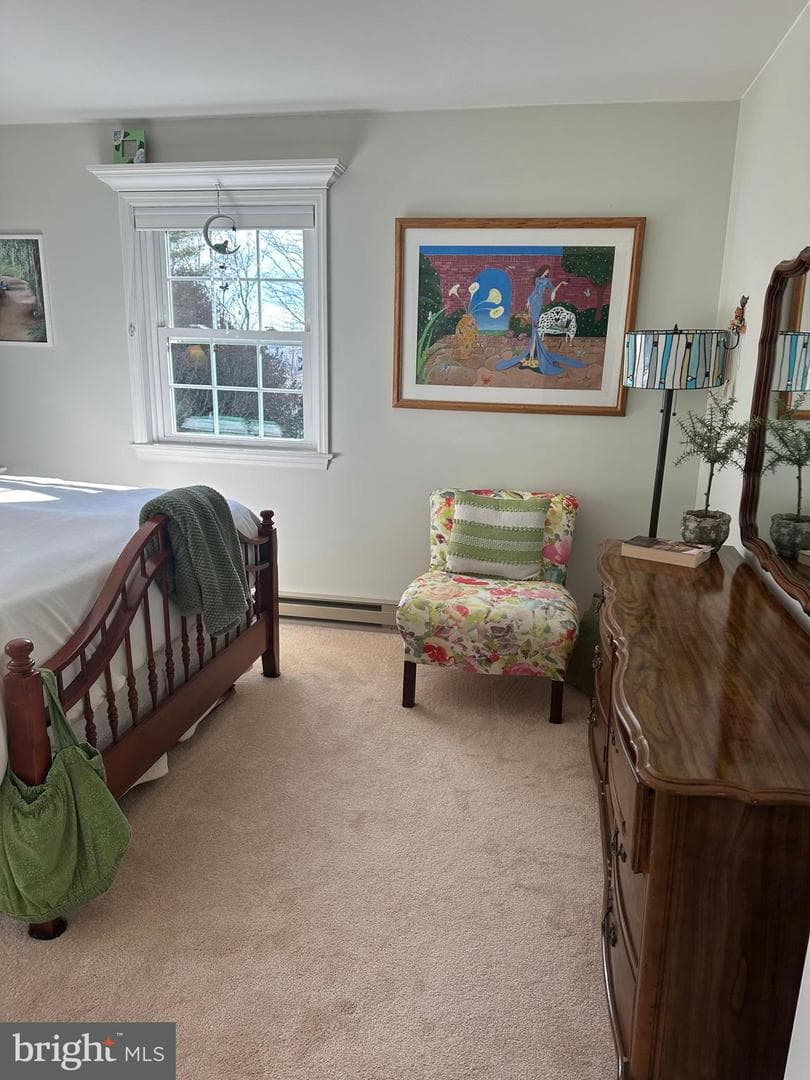 14 Carol Lane photo 17