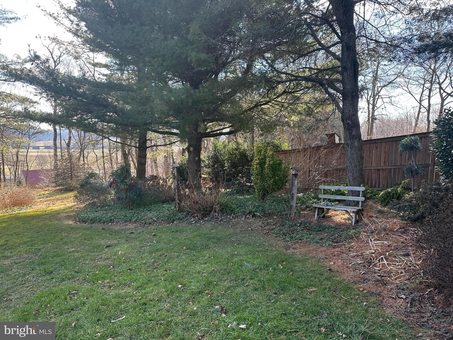 14 Carol Lane photo 35