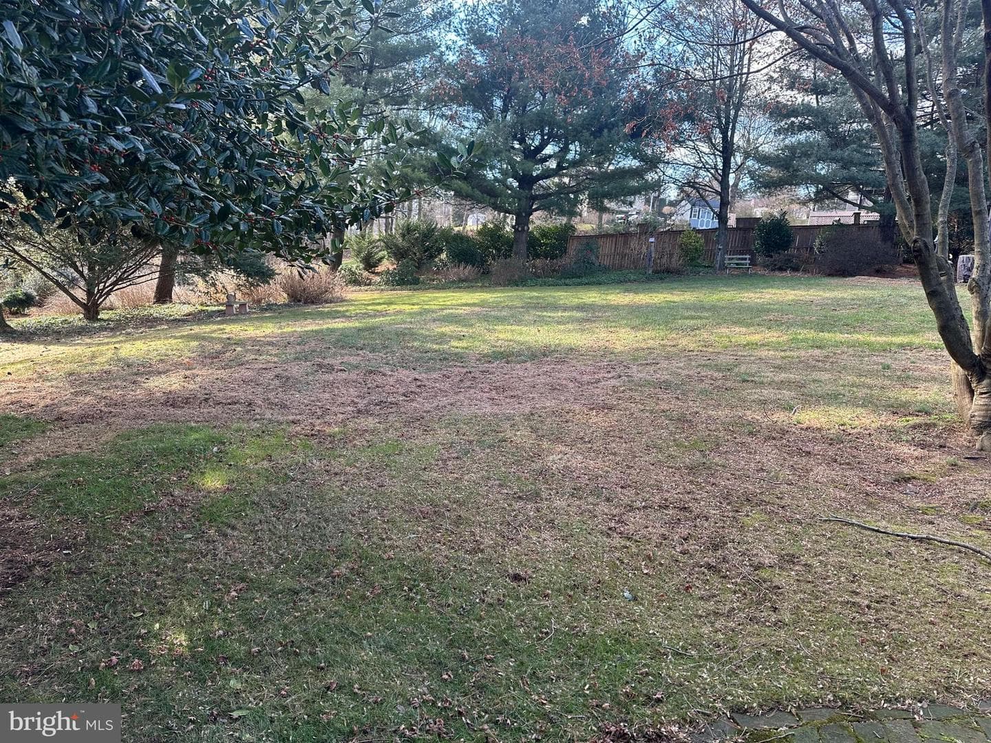 14 Carol Lane photo 47