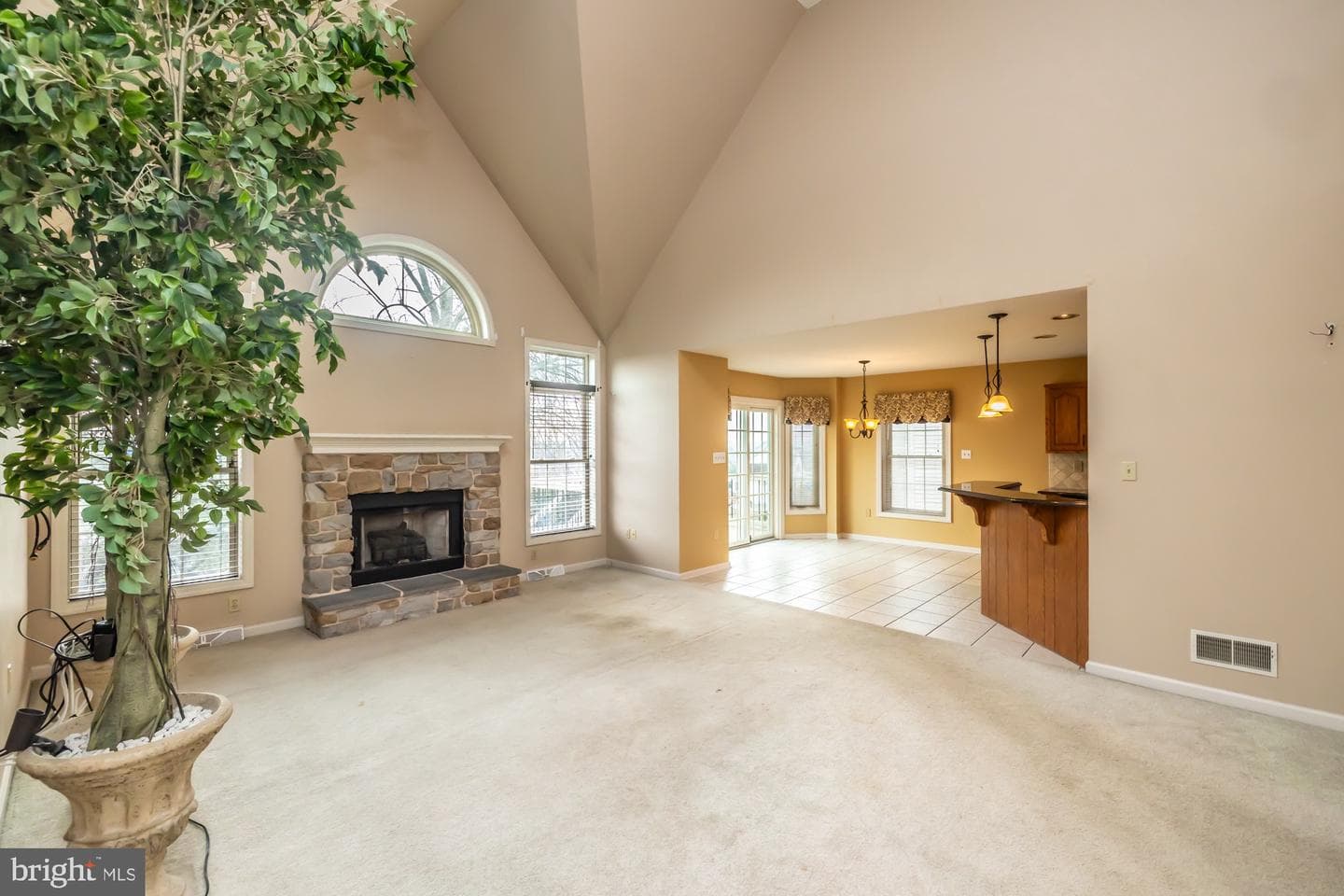 1006 Hillside Avenue photo 25