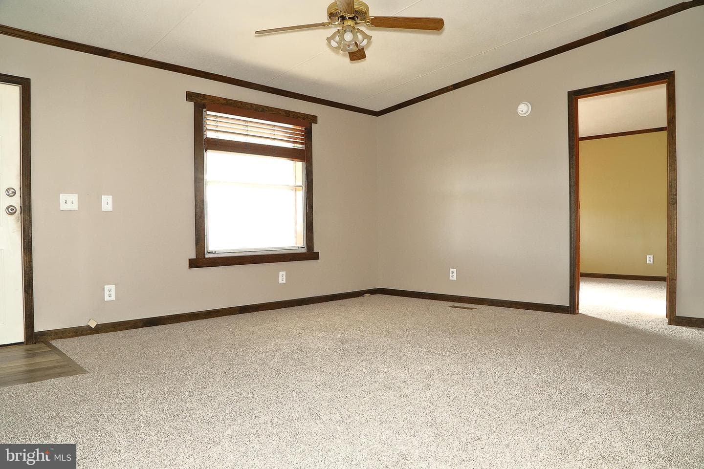 699 Lilac Drive photo 10