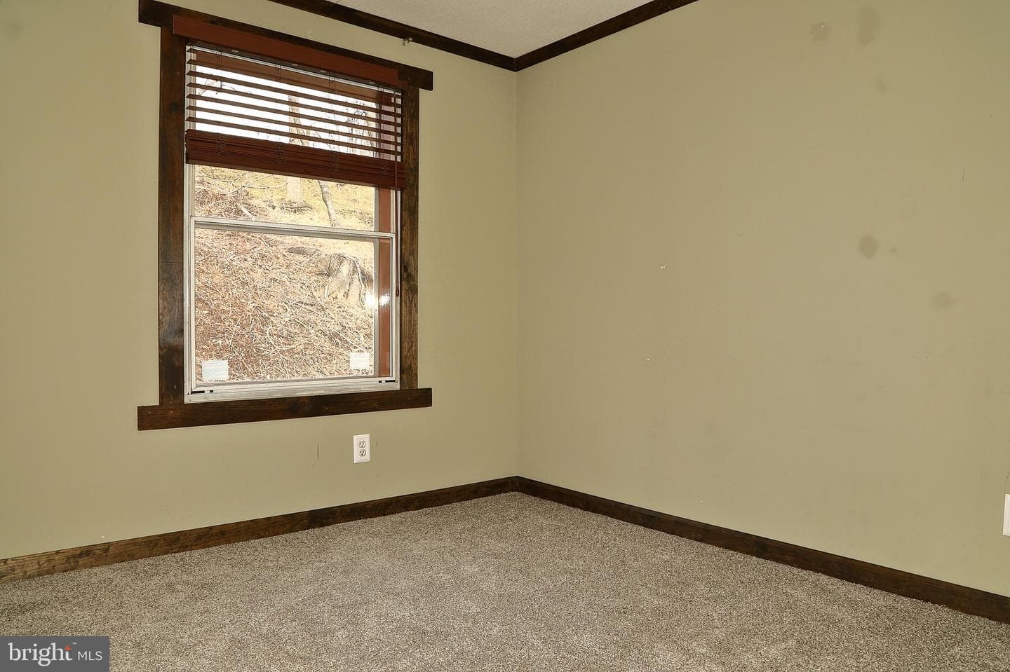 699 Lilac Drive photo 17