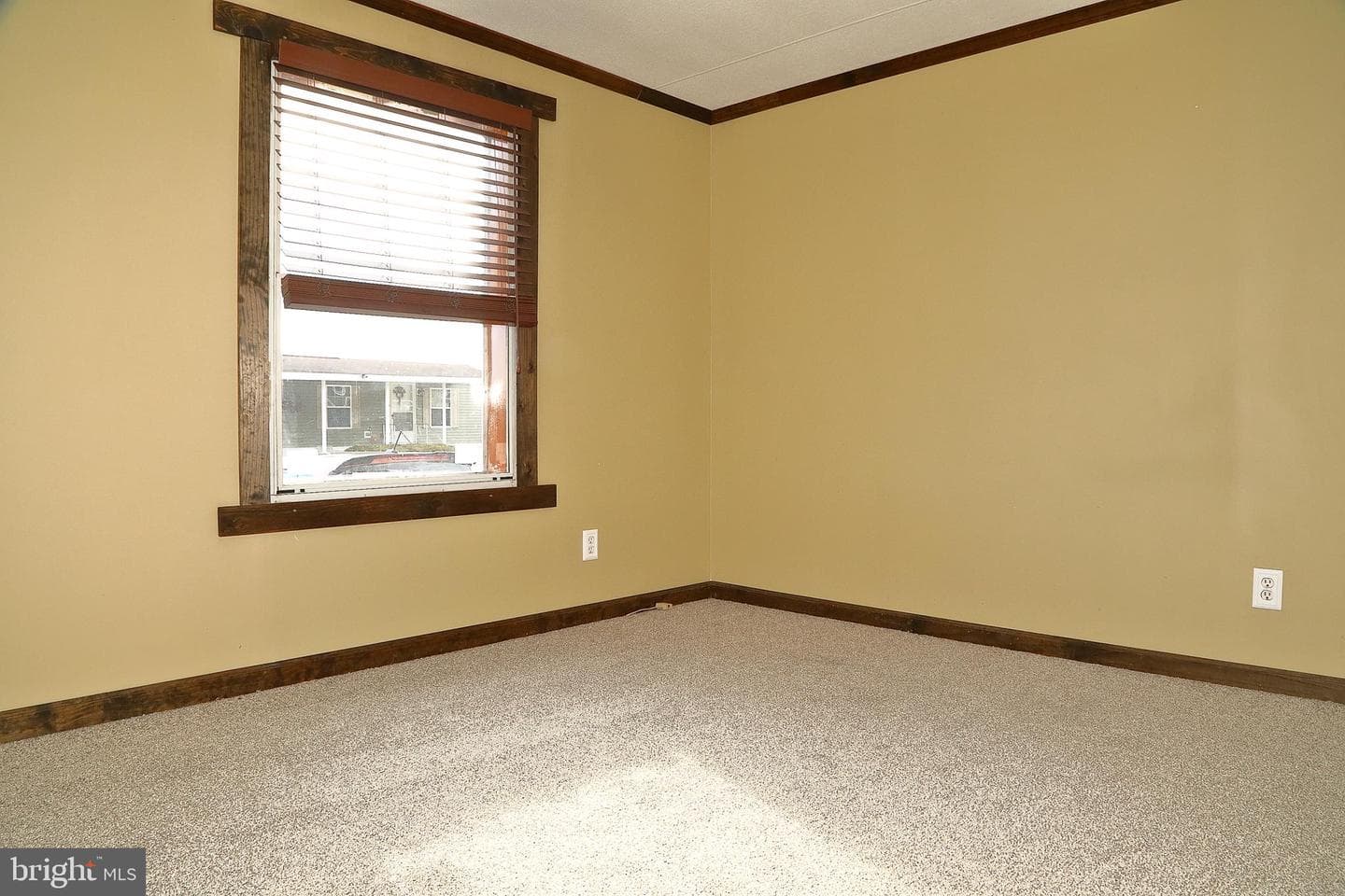 699 Lilac Drive photo 4