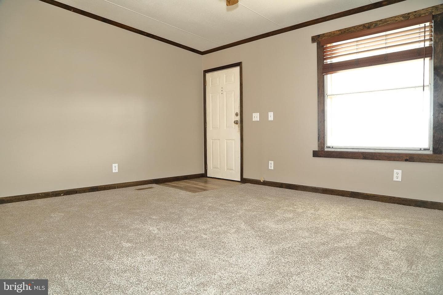 699 Lilac Drive photo 7