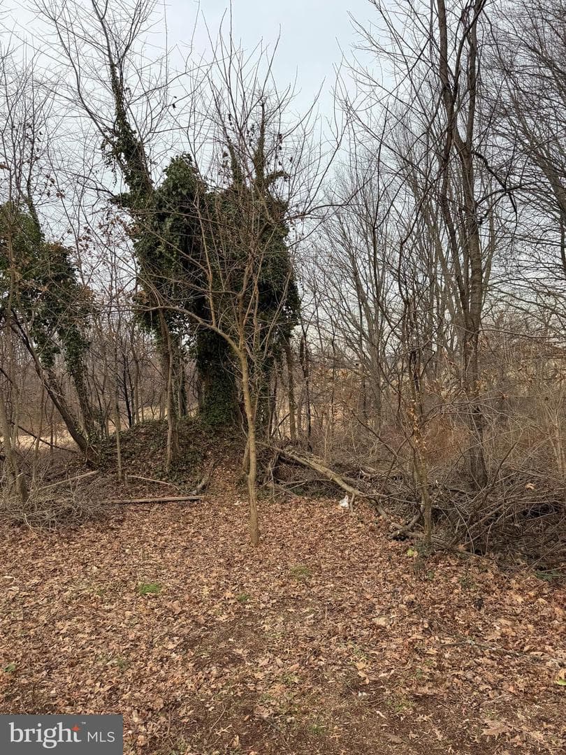 123 Risser Road photo 5