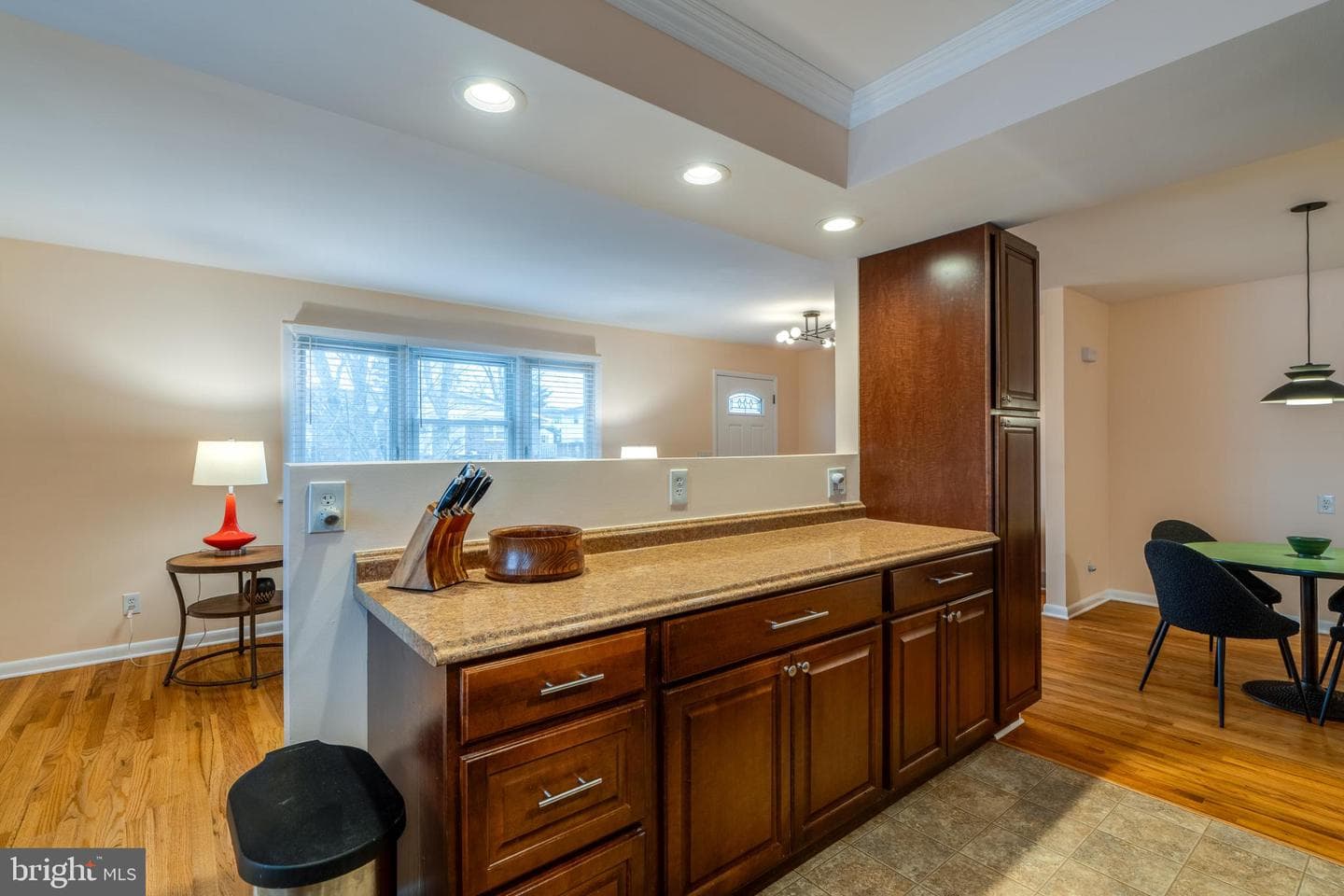 534 W Marion Street photo 11