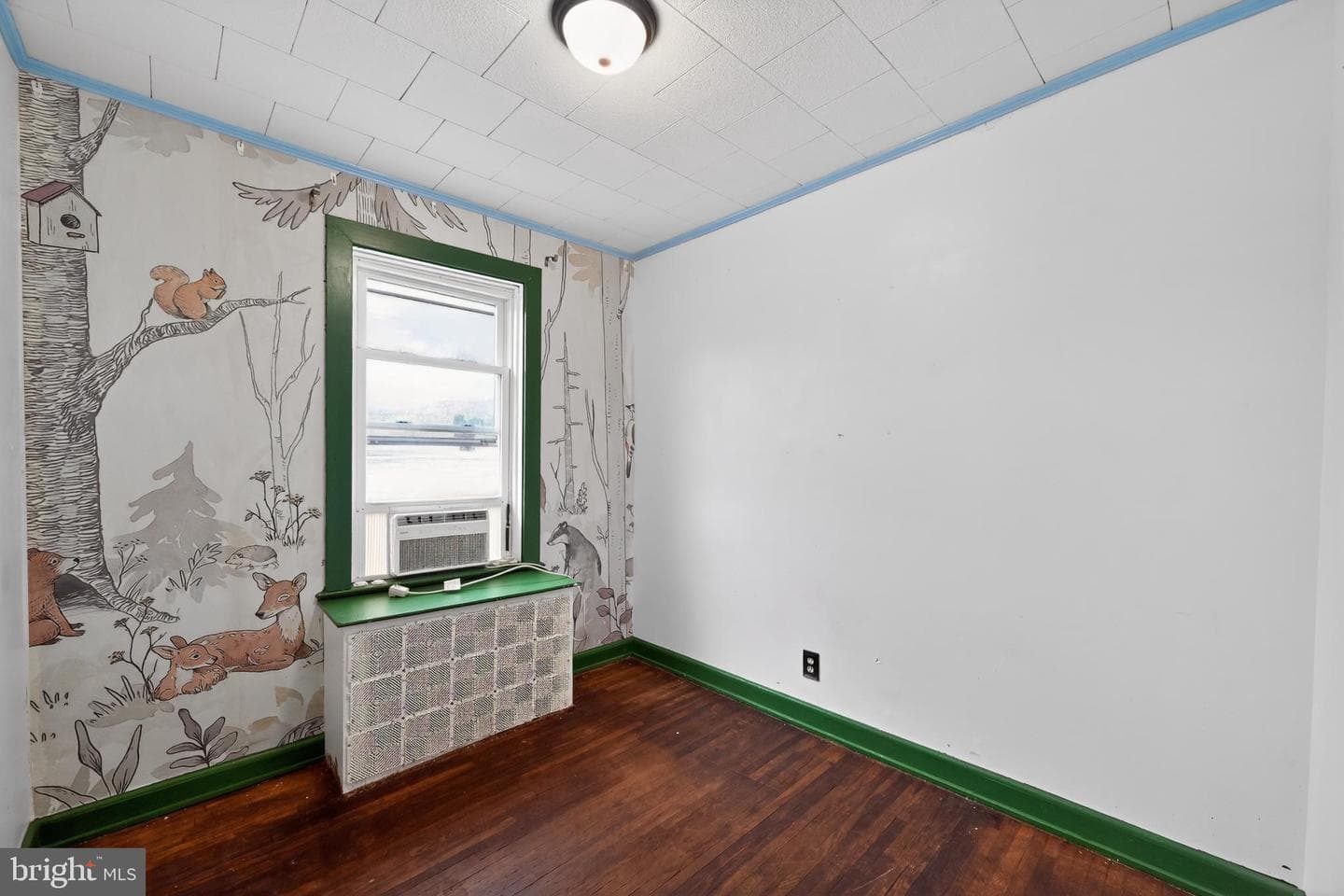 108 S Pearl Street photo 19