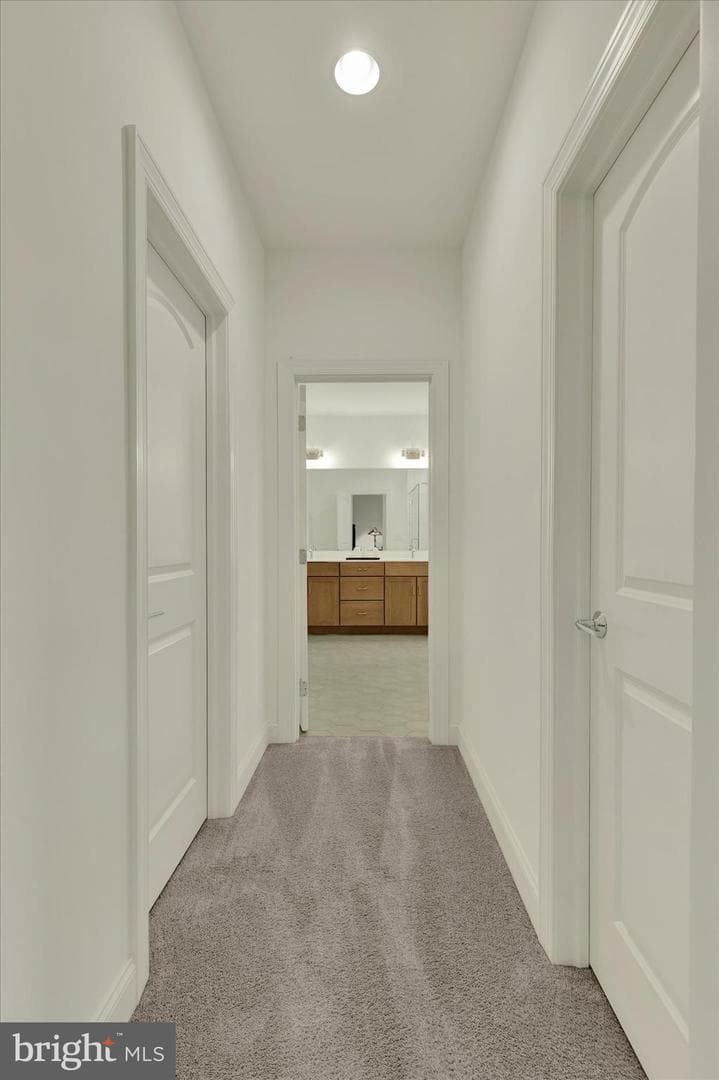 1033 Lititz Bend Drive photo 45
