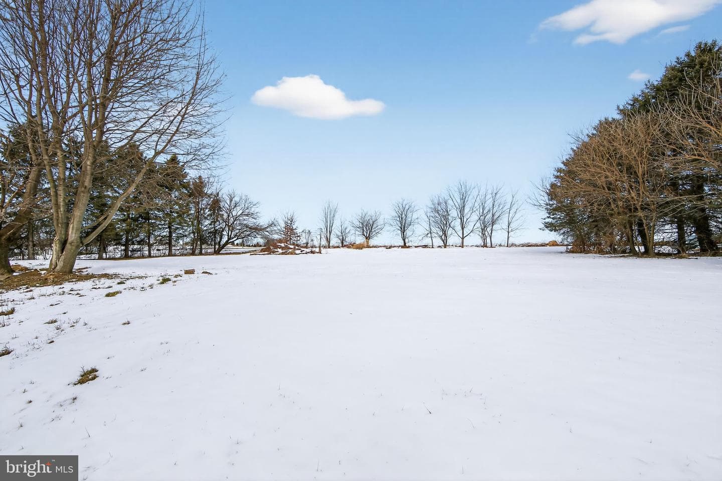 581 Rosehill Drive photo 25
