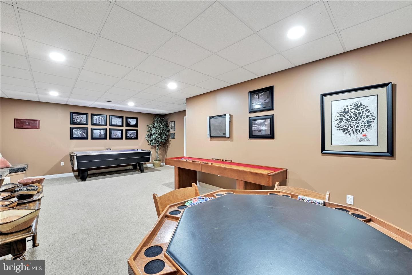 728 Woodfield Drive photo 33