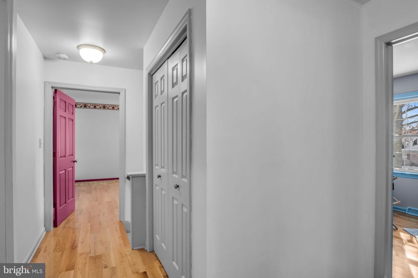 338 Locust Lane photo 24