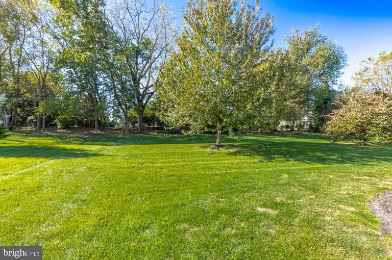 649 Dorset Street photo 7