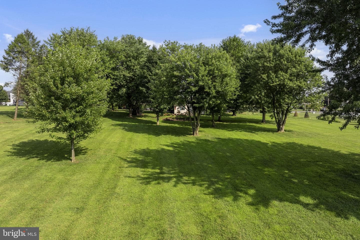 105 Whitehall Road photo 37