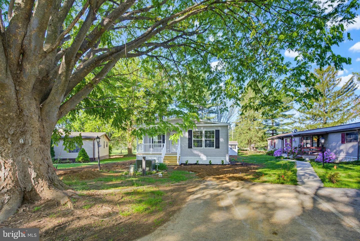 824 Carrie Court photo 6