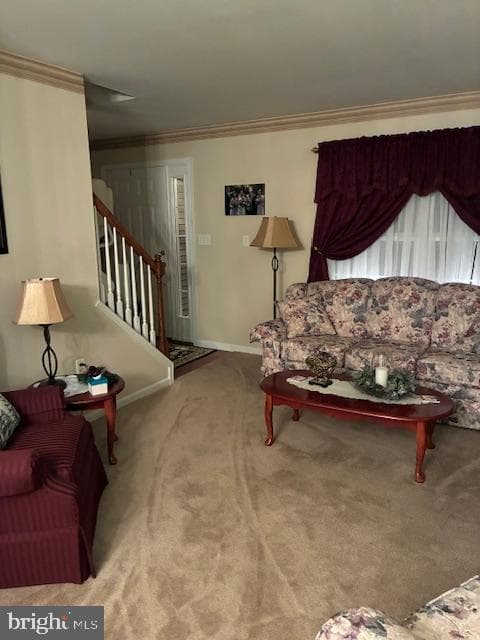 10 Harvest Drive photo 13
