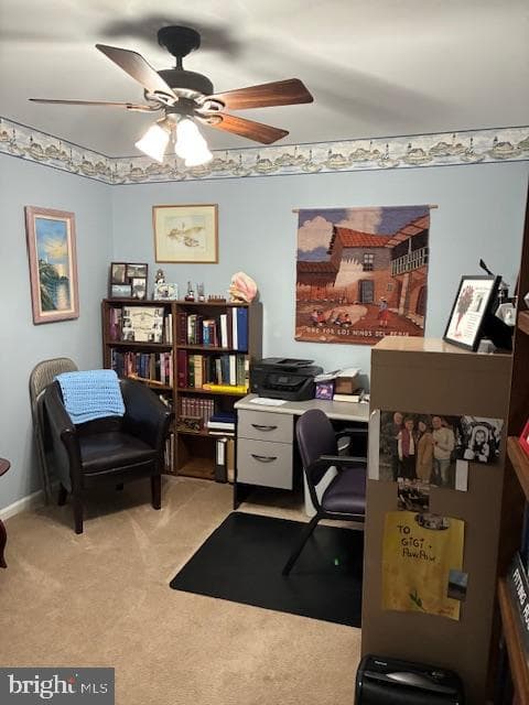 10 Harvest Drive photo 18