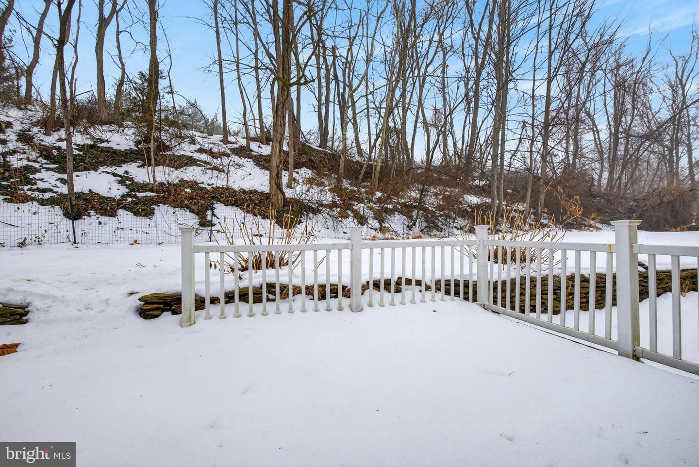 88 Shady Lane photo 46