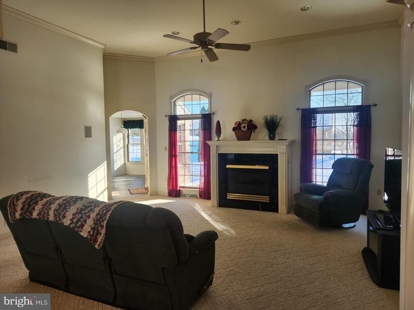 33 Tara Drive photo 17