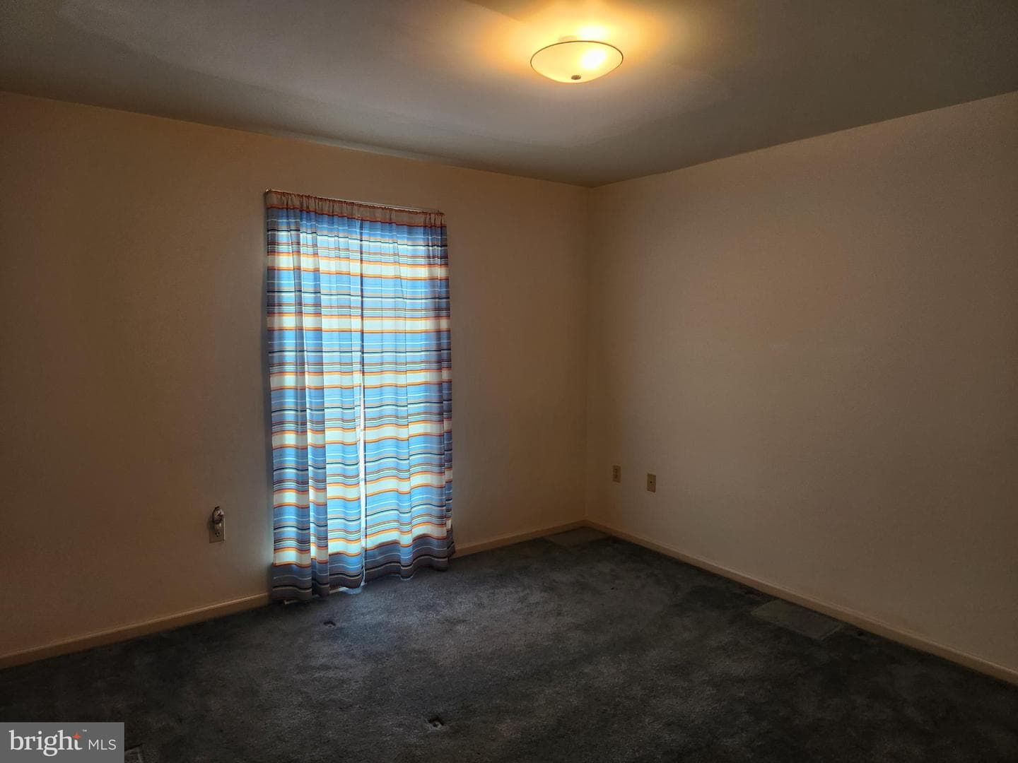 33 Tara Drive photo 39