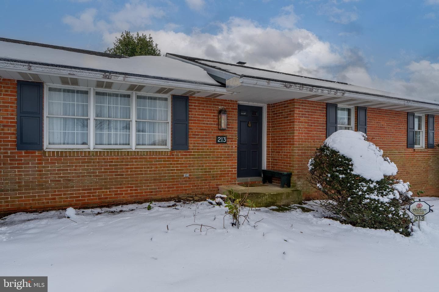 213 Maple Avenue photo 2