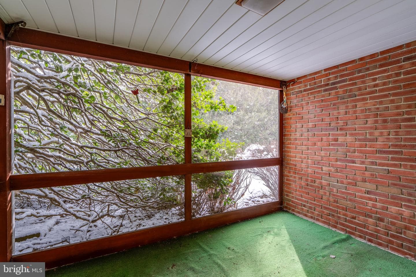 213 Maple Avenue photo 21