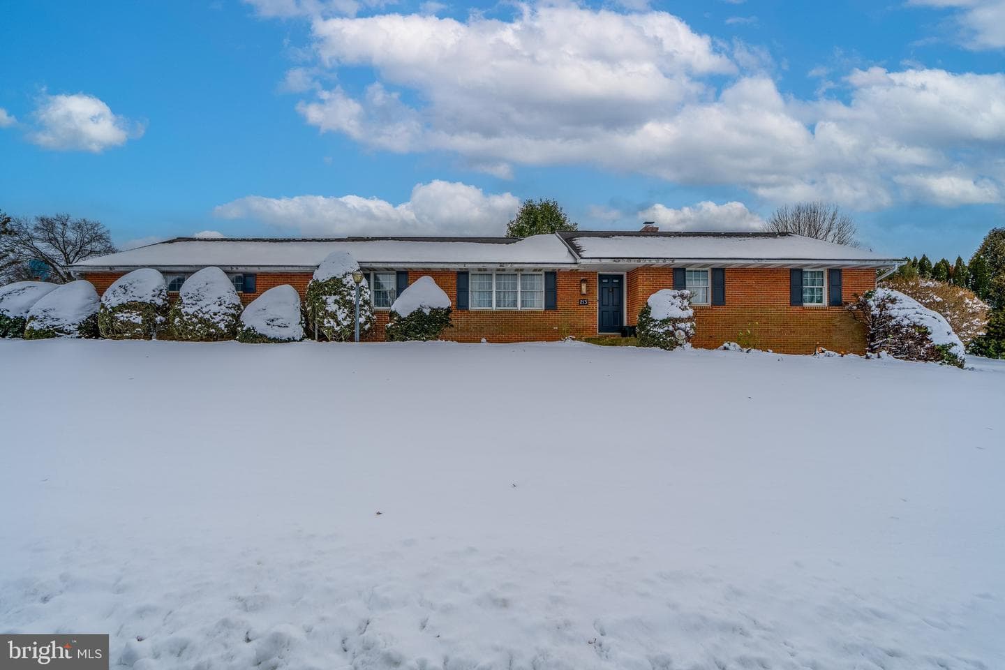 213 Maple Avenue photo 45