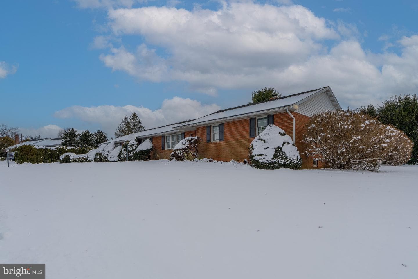 213 Maple Avenue photo 46