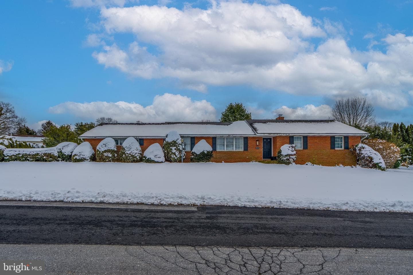 213 Maple Avenue photo 47
