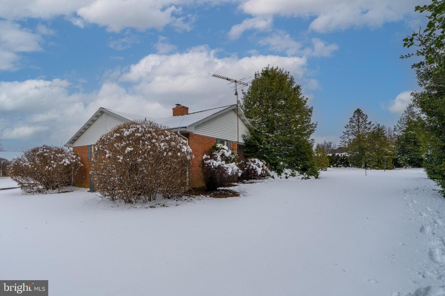 213 Maple Avenue photo 52