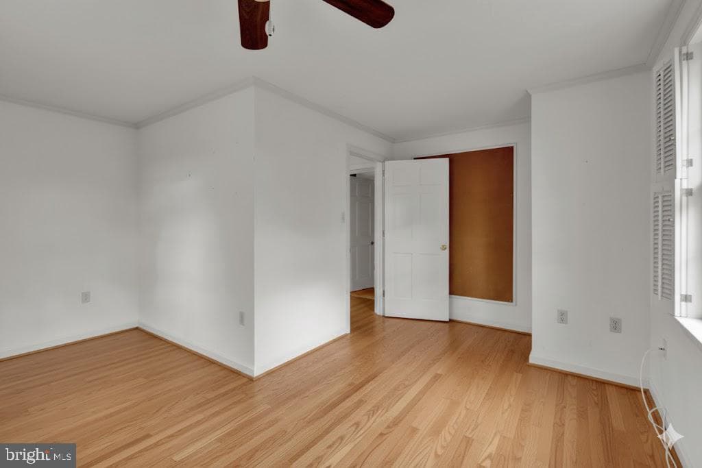 62 Oak Lane photo 43
