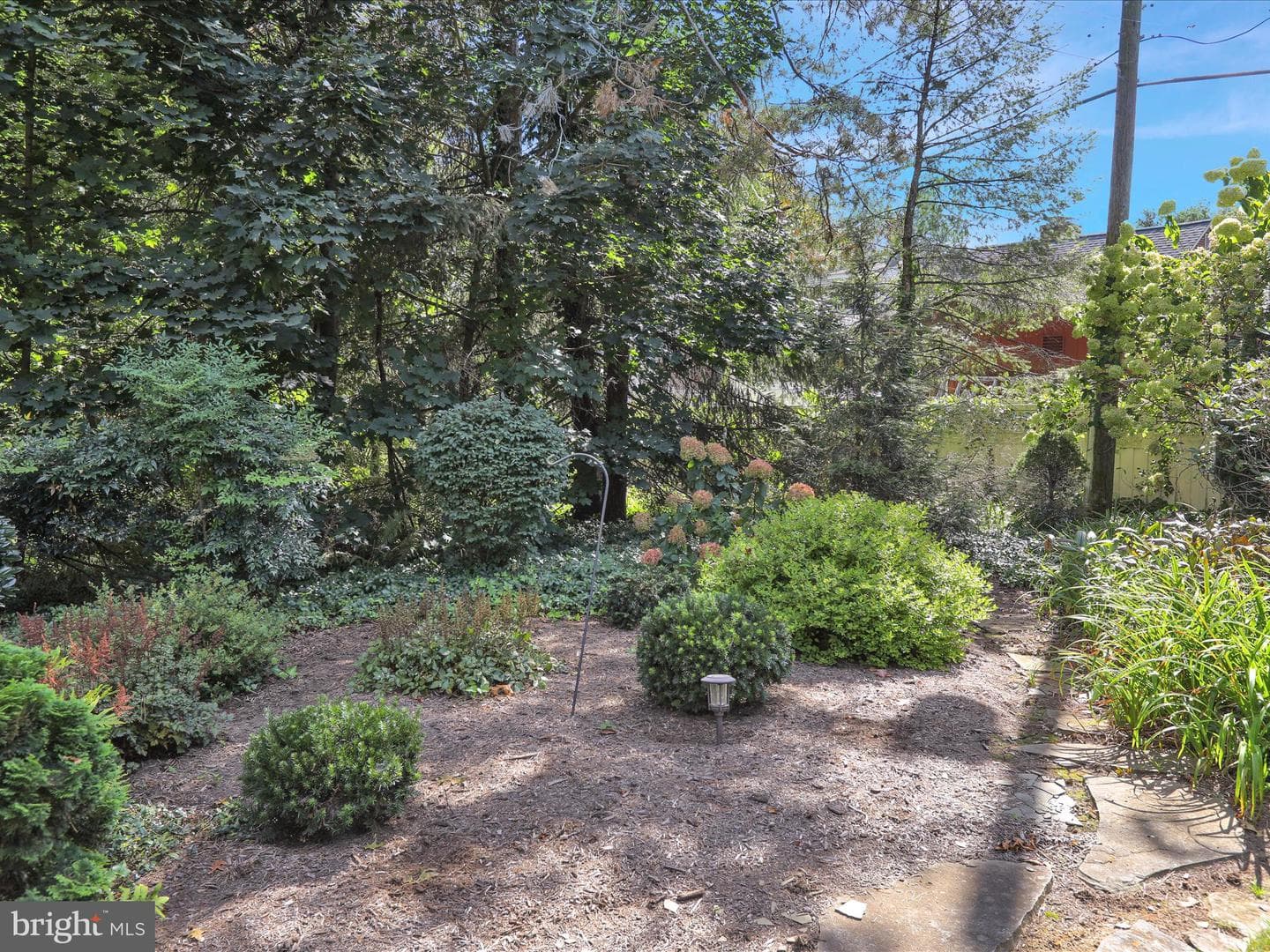 62 Oak Lane photo 7