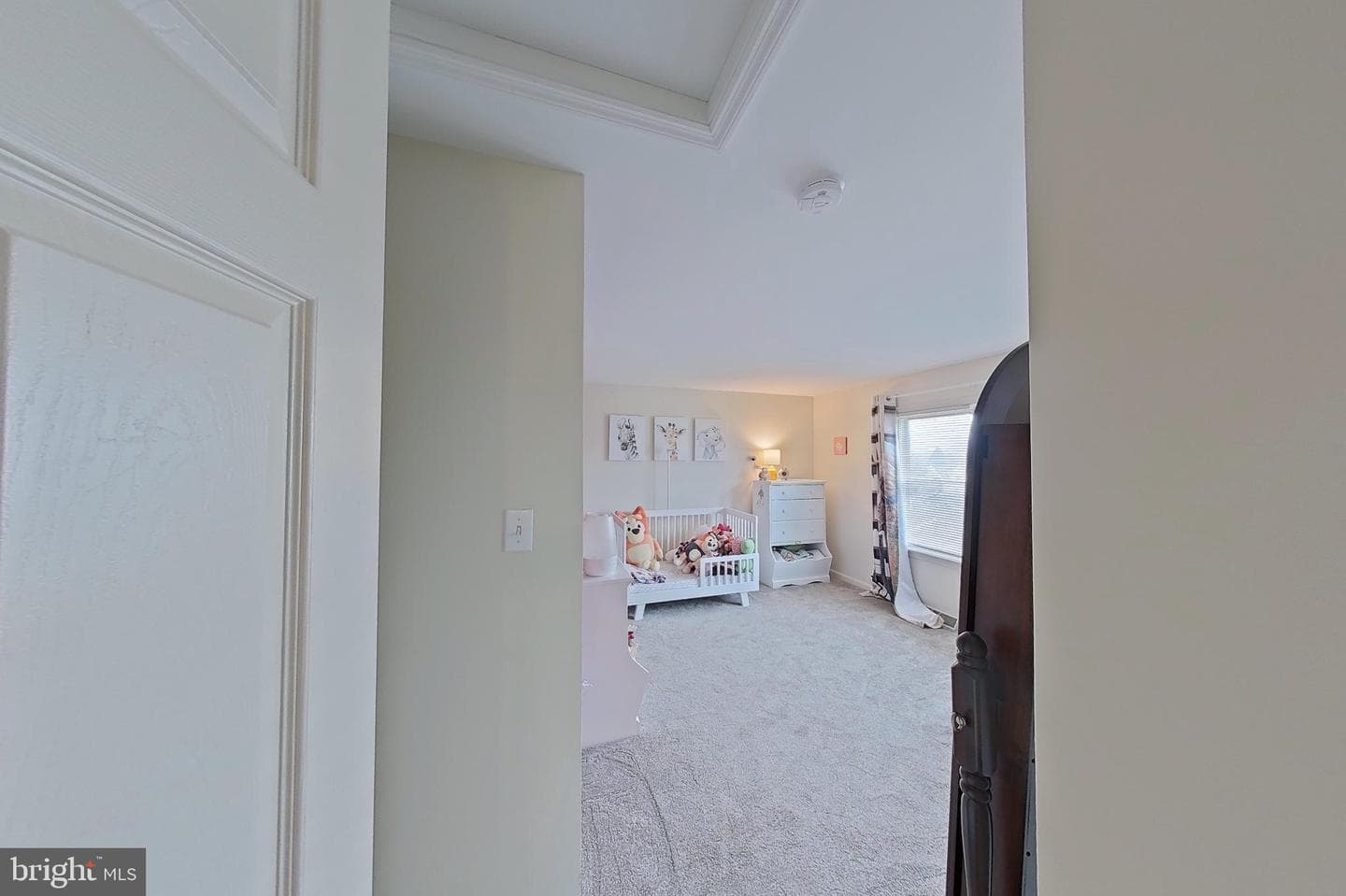 44 Duffield Drive photo 8