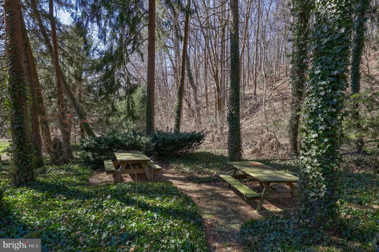 609 Tucquan Glen Road photo 47