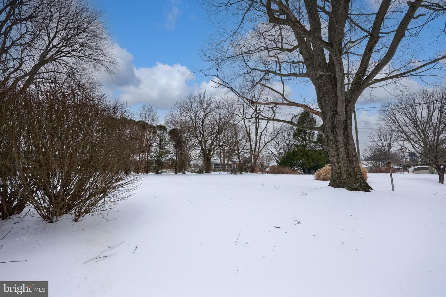 340 Primrose Avenue photo 41