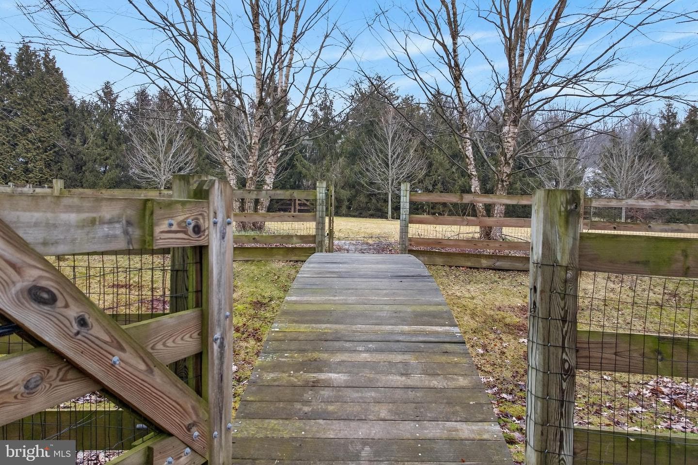 104 Royal Horse Way photo 51