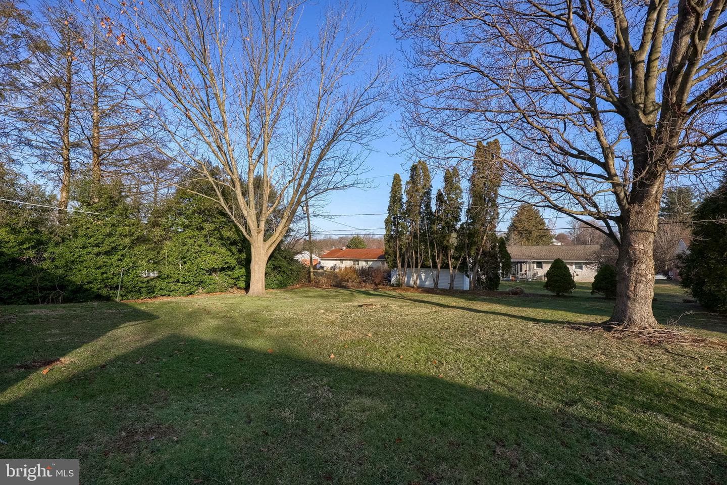 299 Rolling Terrace photo 10