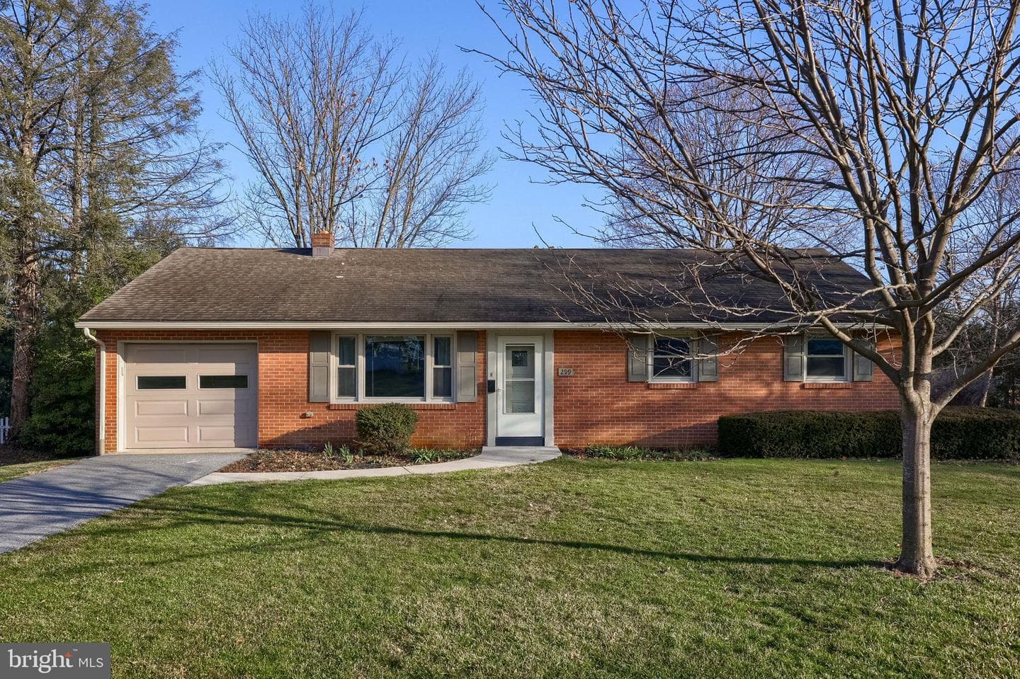 299 Rolling Terrace photo 4