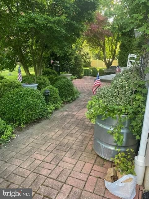 94 Green Lane photo 63