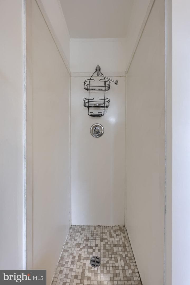 1026 W Ross Street photo 41