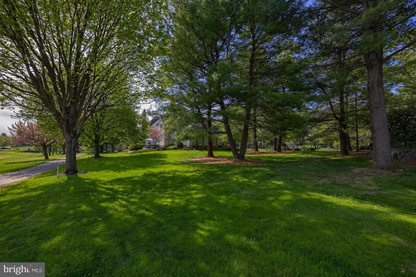 905 Greenside Drive photo 117