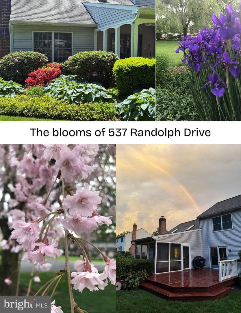 537 Randolph Drive photo 63