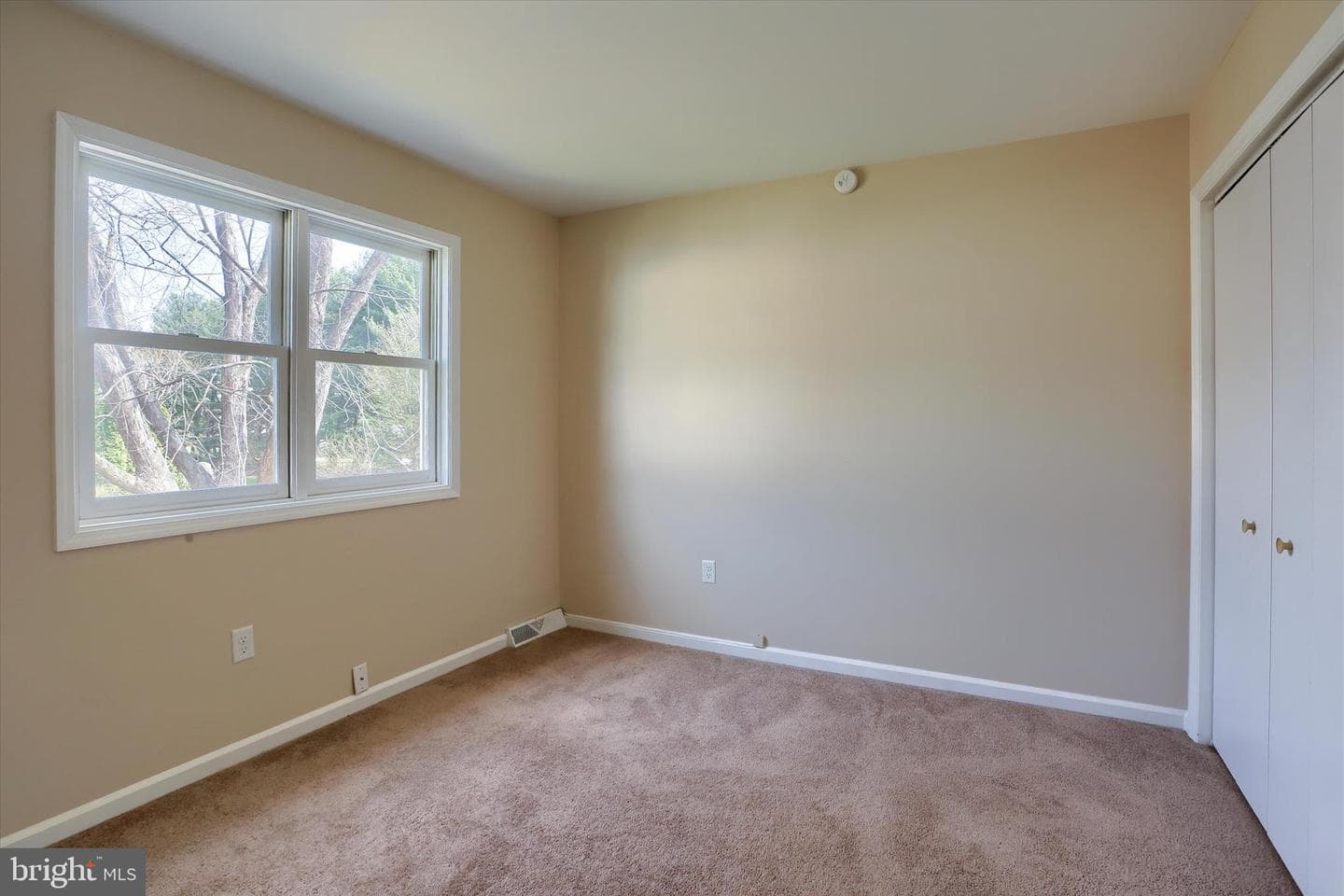 339 Cardinal Road photo 17