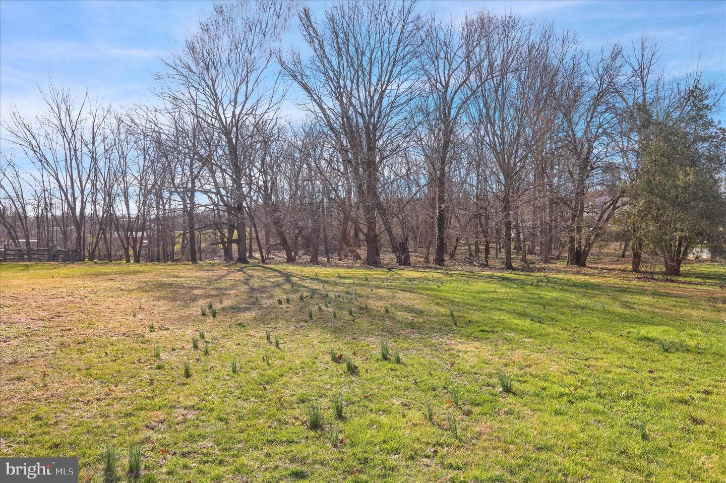 2460 Honeysuckle Lane photo 4