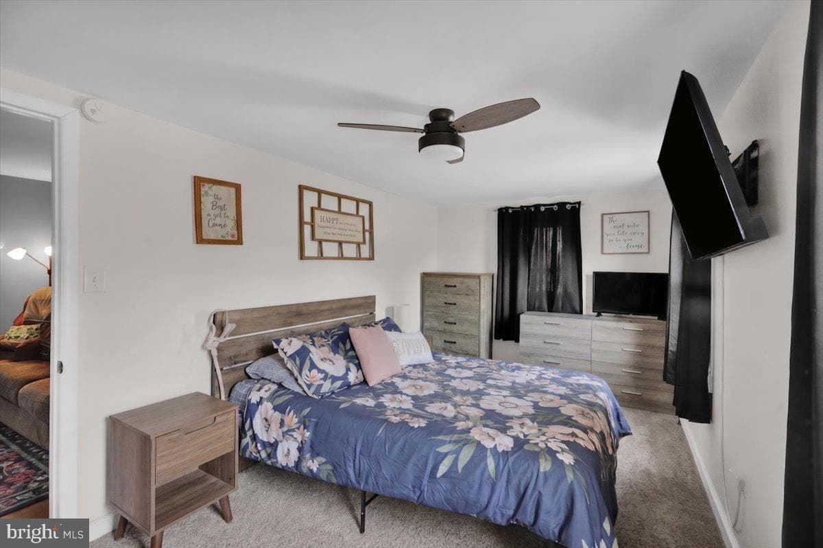 923 Mifflin Street photo 4