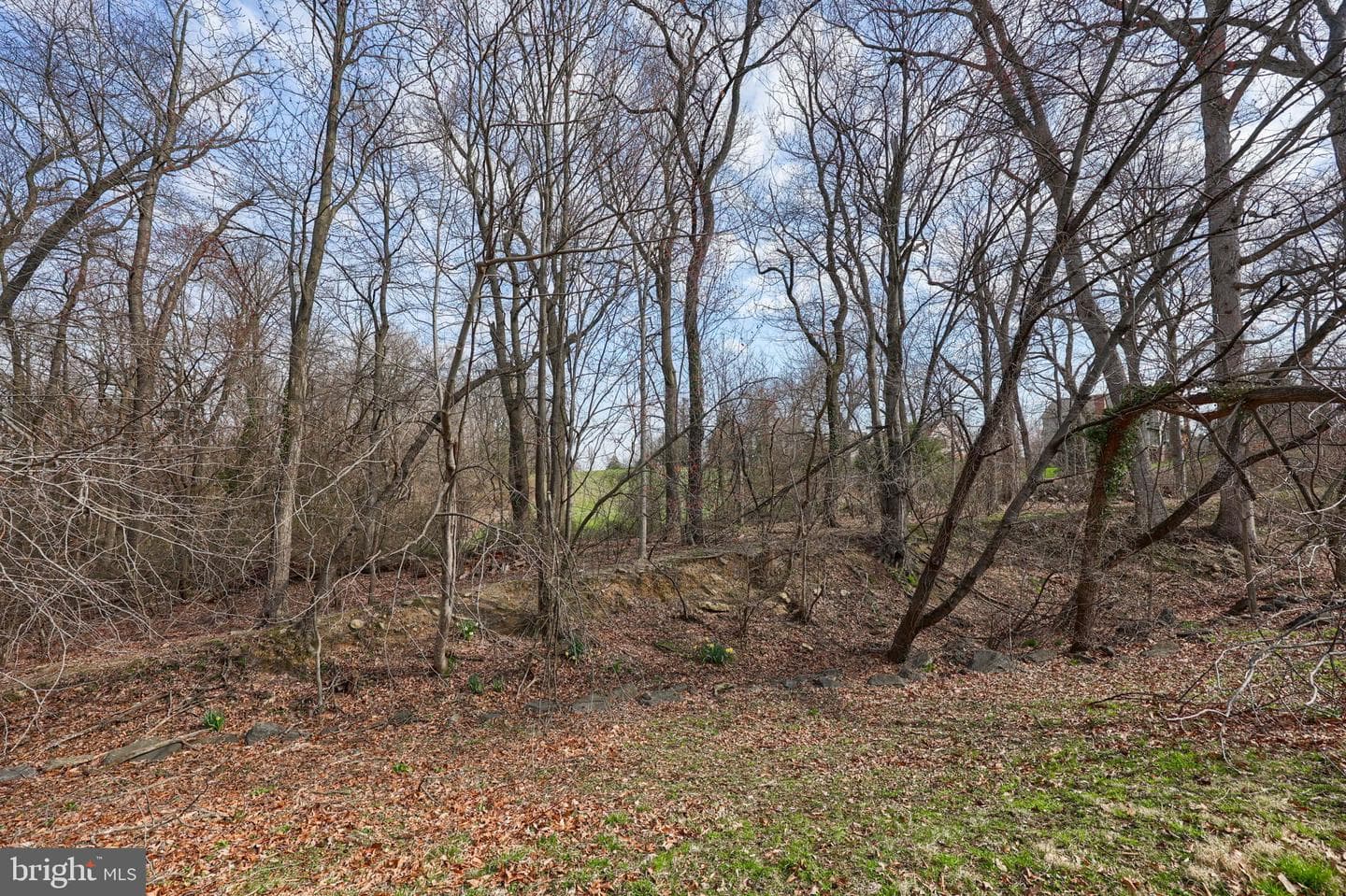 2977 Hearthside Lane photo 43