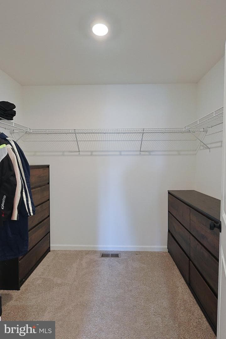 117 Appaloosa Drive photo 42