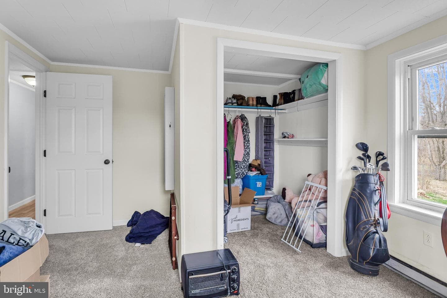 355 Reinholds Road photo 24
