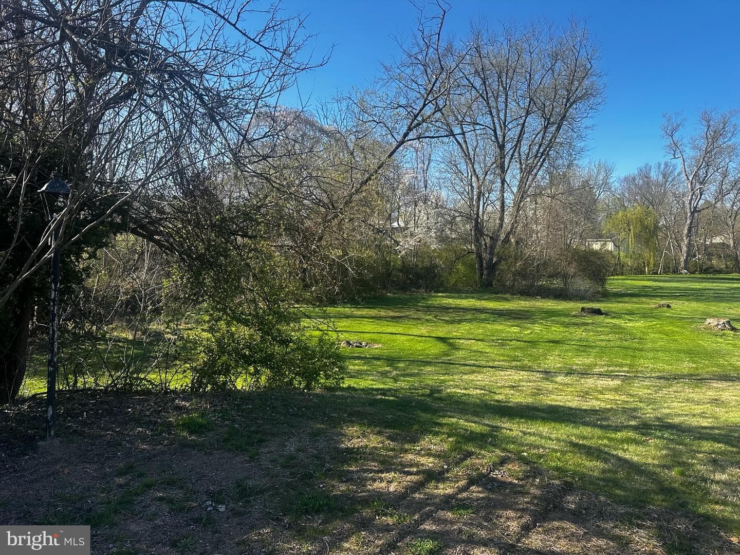 415 E Willow Street photo 9