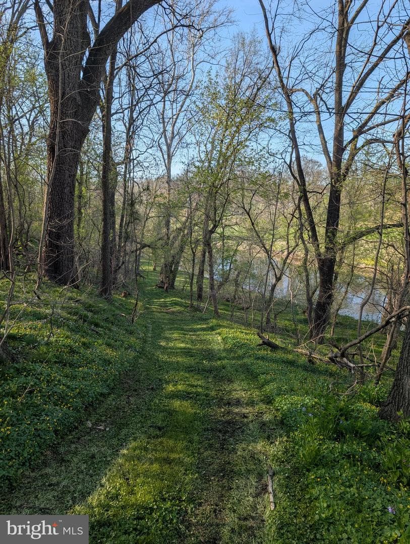 913 Stehman Road photo 28